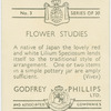Lilium speciosum
