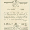 Chrysanthemums