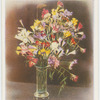 Freesias