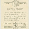 Freesias