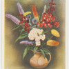 Border flowers