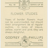 Border flowers