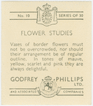Border flowers