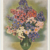 Michaelmas daisies