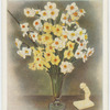Polyanthus or bunch flowered narcissi