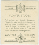 Polyanthus or bunch flowered narcissi