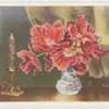 Parrot tulips