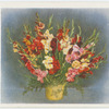 Gladioli