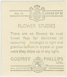 Sweet peas
