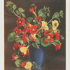 Nasturtiums