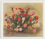 Zinnias, asters, gladioli, dahlias, tobacco plants, and larkspurs