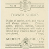 Zinnias, asters, gladioli, dahlias, tobacco plants, and larkspurs