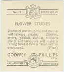 Zinnias, asters, gladioli, dahlias, tobacco plants, and larkspurs