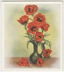 Oriental poppies