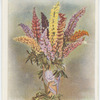 Lupins
