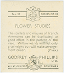 French anemones