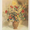 Winter solanum