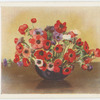 Spring flowering anemones