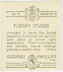 Spring flowering anemones