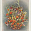 Small flowered dahlias