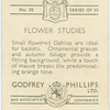 Small flowered dahlias