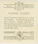Small flowered dahlias