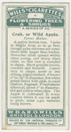Crab, or wild apple (Pyrus malus).