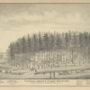 Carmel Grove Camp Ground. Six miles west of Binghamton, New York.