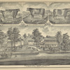 Lady Vine & Miss Grantham; Blucher; Res. & dairy farm of George Schermerhorn. P.O. Address, Killawog, Broome Co., N.Y.
