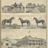 Res. of Horage Walter, Maine TP, Broome Co., N.Y.; Res. of Mrs. Zarah S. Taylor, Maine TP, Broome Co., N.Y.; Revenge Willie; Kitty Frazier; Revenge Daniel Webster; E. Ketchum, Dealer of Ketchum's Hotel, Maine, Broome Co., N.Y.