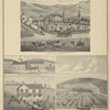 iver View Farm, Res. of Zenus Barnum, Jr., Binghamton TP, Broome Co., N.Y.; Res. of Eli S. Meeker, Hawleyton, Binghamton TP, Broome Co., N.Y.; Res. of D.C. Mc Graw, Seedsman and Florist, Riverside Gardens, Binghamton, N.Y.