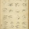 Eyes - action of the pupil.