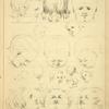 Children's heads - principles of proportion and attitude.