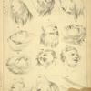 Heads - foreshortening and strong excitements.