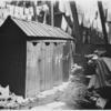 Row of outhouses with graffiti on doors.