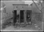 Three Outhouses (dirty) and laundry and tree (1904).