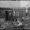 Dilapidated outhouses (1904).