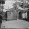 Row of outhouses, laundry and backs of tenement…(1904).