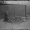 Fence and Rubbish (1905).