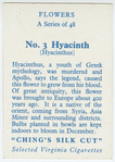 Hyacinth (Hyacinthus).