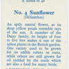 Sunflower (Helianthus).