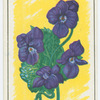 Violet (Viola).