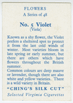 Violet (Viola).