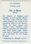 Rose (Rosa).