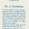 Pyrethrum.
