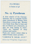 Pyrethrum.