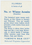 Winter aconite (Eranthis).