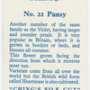 Pansy.