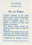 Pansy.