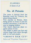 Petunia.